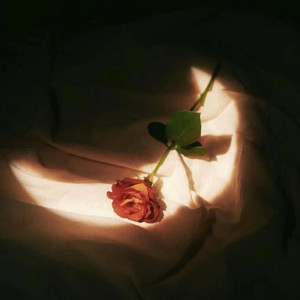 女人女人给男人女人女人带男人女人女人的男人打洞
