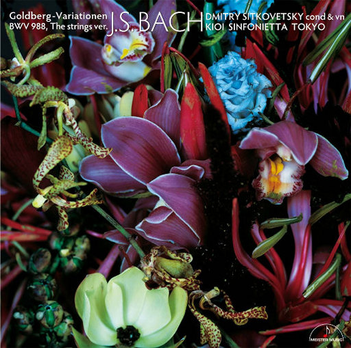 女人女人给男人女人女人带男人女人女人的男人打洞
